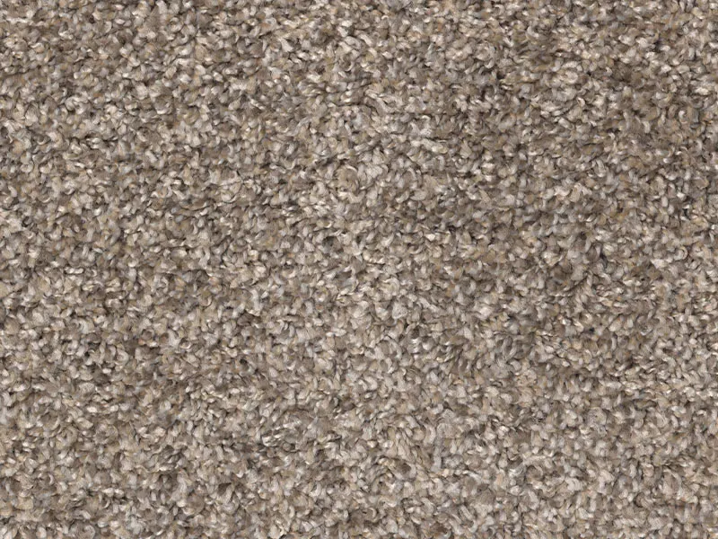 Canyon Cove Carpet selection from Clayton Russellville Decor & Options