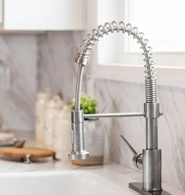 Spring faucet Kitchen selection from Clayton Savannah Decor & Options
