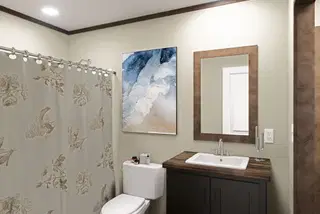 Sevier bathroom home features