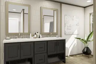 Snowcap bathroom home features
