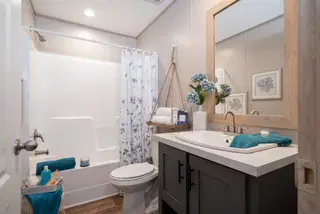 Desoto bathroom home features
