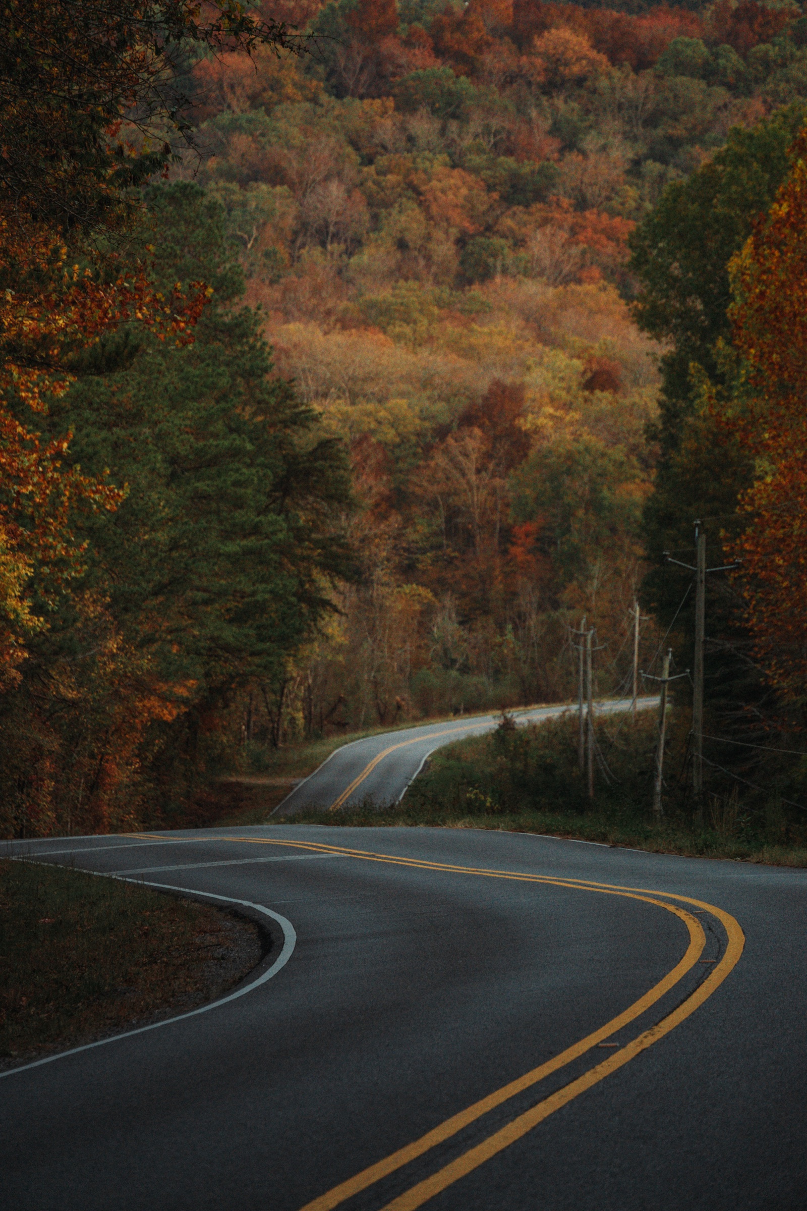 Winding road through autumn hills